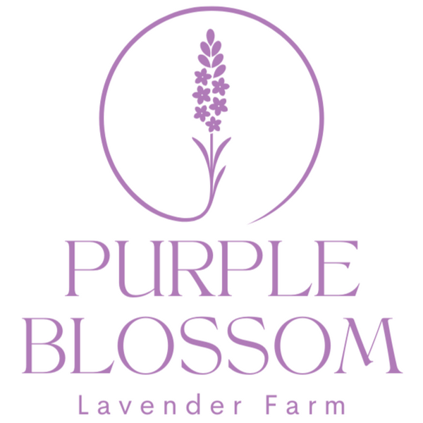 Purple Blossom Lavender Farm